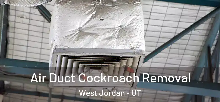  Air Duct Cockroach Removal West Jordan - UT
