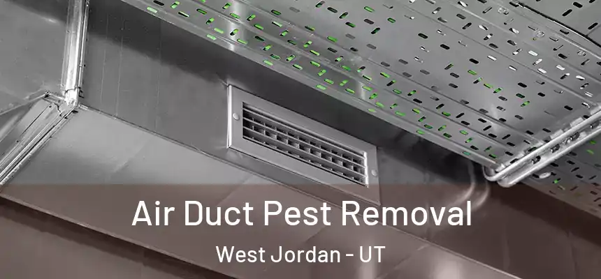 Air Duct Pest Removal West Jordan - UT
