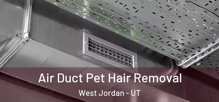  Air Duct Pet Hair Removal West Jordan - UT