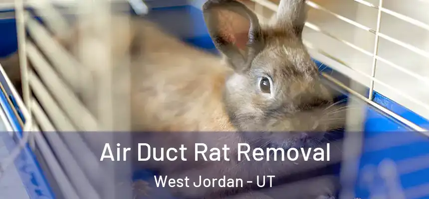 Air Duct Rat Removal West Jordan - UT