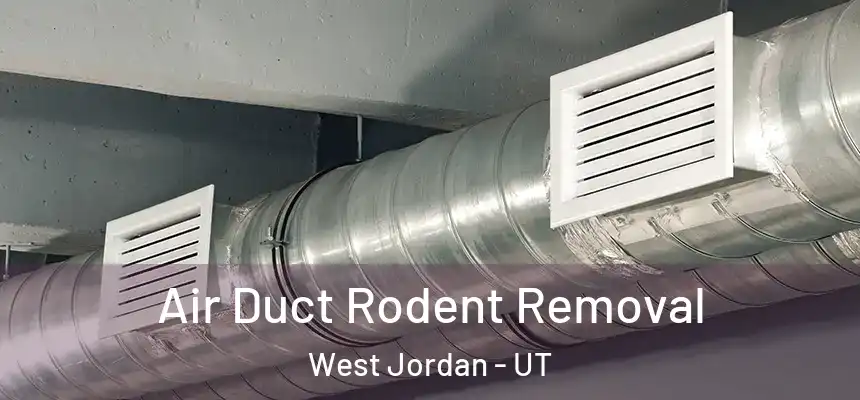 Air Duct Rodent Removal West Jordan - UT