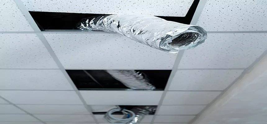 Our Air Duct Pet Hair Removal Services in West Jordan, UT