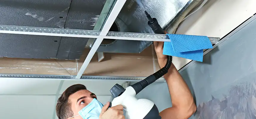 Our Air Duct Rodent Removal Services in West Jordan, UT