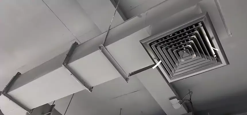 Our Pest Removal From Ducts Services in West Jordan, UT