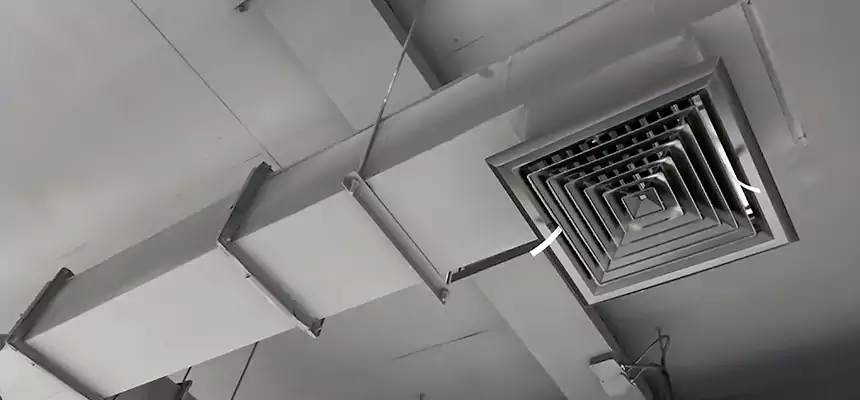 Our Rodent Droppings In Vents Services in West Jordan, UT