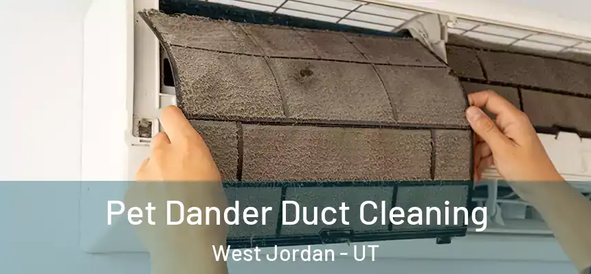  Pet Dander Duct Cleaning West Jordan - UT