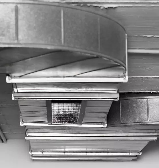 Professional Air Duct Pet Hair Removal in West Jordan, UT