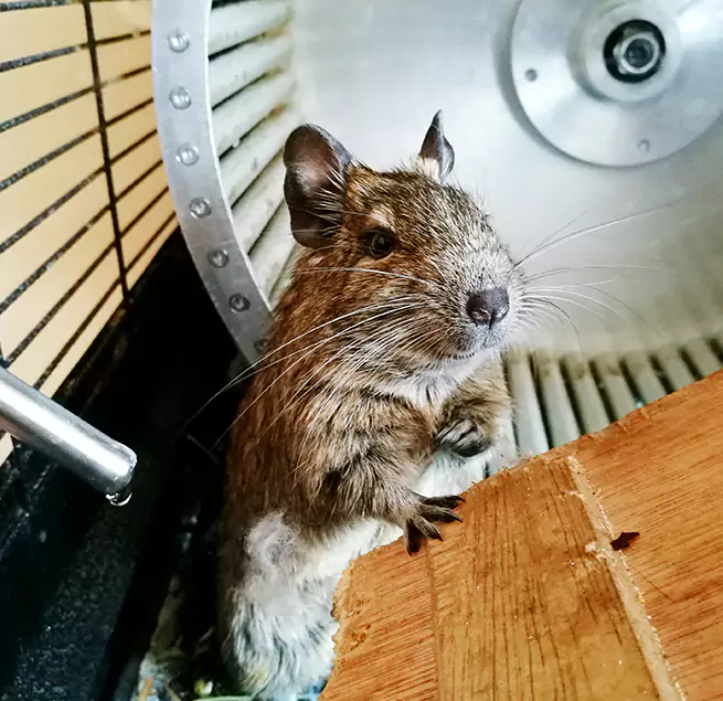 Why Homeowners & Businesses Trust Us West Jordan, UT